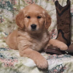 Ella - Image 4