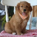 Flossie - Image 4