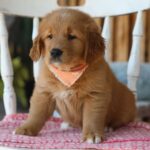 Flossie - Image 3