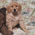 Will - Image 4